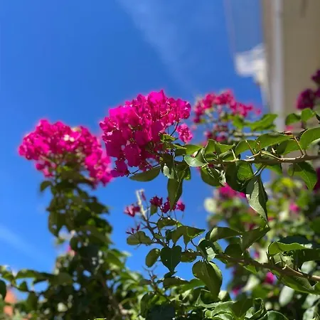 Apartmani Katic Makarska Exterior photo